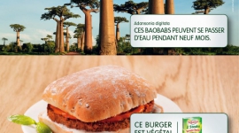 Le végétal n’a pas fini de vous surprendre