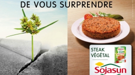 Le végétal n’a pas fini de vous surprendre