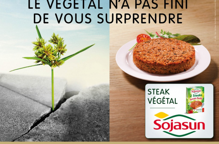 Le végétal n’a pas fini de vous surprendre