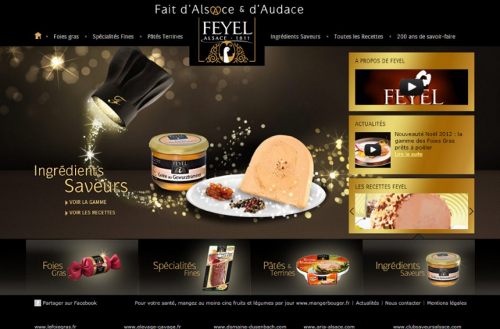 Site Feyel
