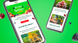 Libérons un monde de fruits avec les abeilles