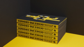 Dess[e]ins Croisés – le livre des 20 ans de W