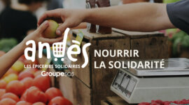 Plateforme de marque & identité visuelle – ANDÈS, Nourrir la Solidarité.