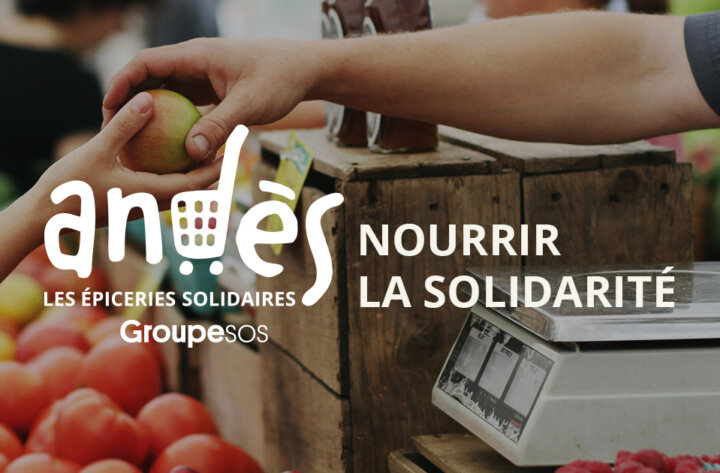 Plateforme de marque & identité visuelle – ANDÈS, Nourrir la Solidarité.