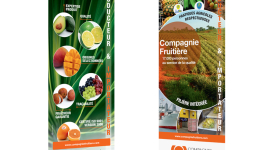 Compagnie Fruitière