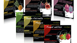 Cartes Exotiques