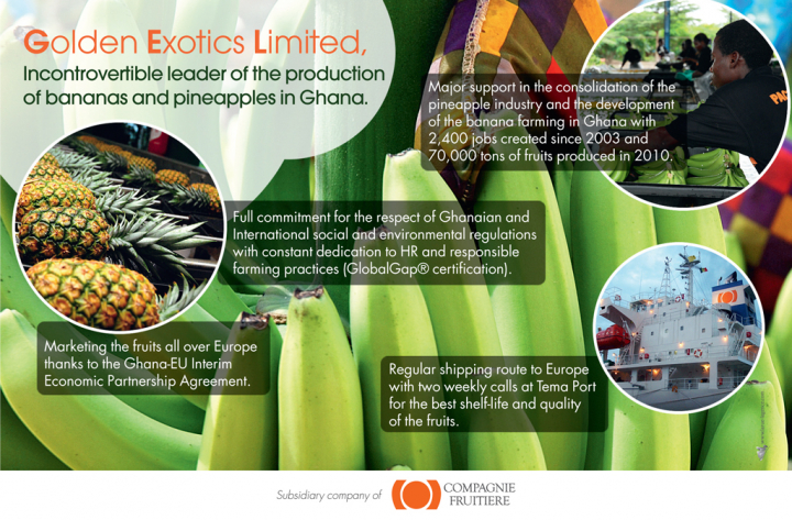 Golden Exotics Limited