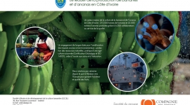 Production en Côte d&rsquo;Ivoire