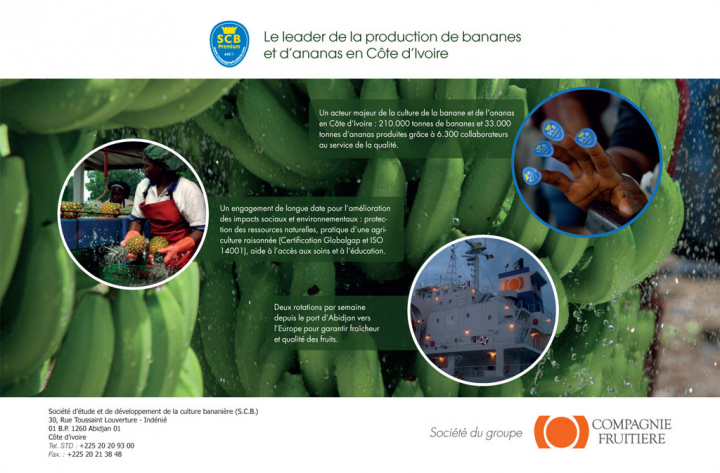 Production en Côte d&rsquo;Ivoire