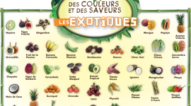 Les exotiques