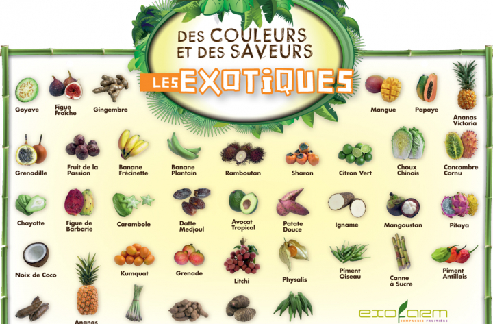 Les exotiques