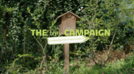 The tiny campaign