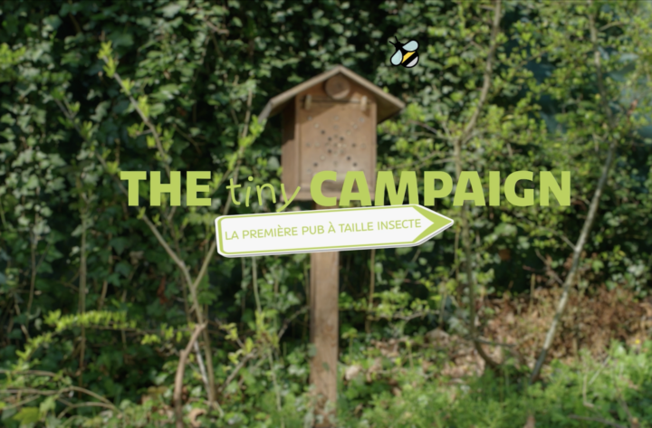 The tiny campaign