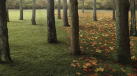 Campagne print – Jardinus Interuptus