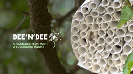 Bee&rsquo;n&rsquo;Bee