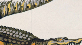 Un crocodile à l&rsquo;écoute du web