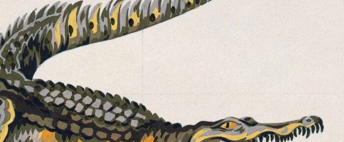 Un crocodile à l&rsquo;écoute du web