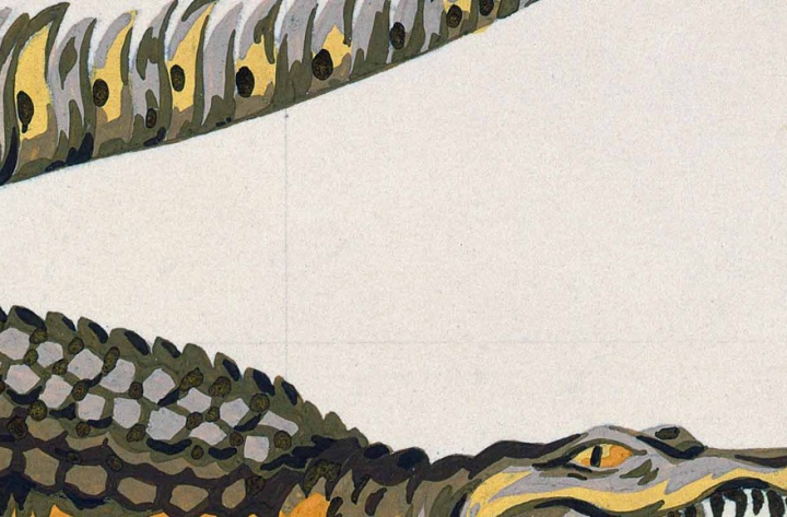 Un crocodile à l&rsquo;écoute du web