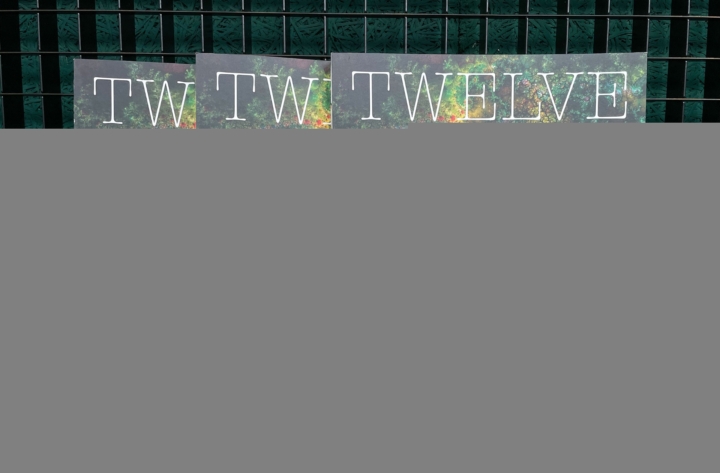 TWELVE MAGAZINE : SPEED! THE WINNING FACTOR IN THE DIGITAL AGE