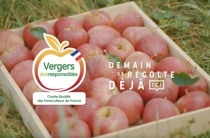 POMMES VERGERS ECORESPONSABLES x SERVICEPLAN