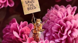 Bee Influencer