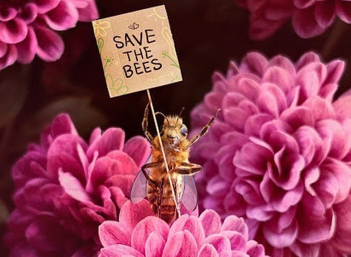 Bee Influencer