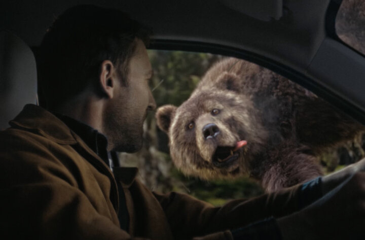 La course à l&rsquo;hibernation