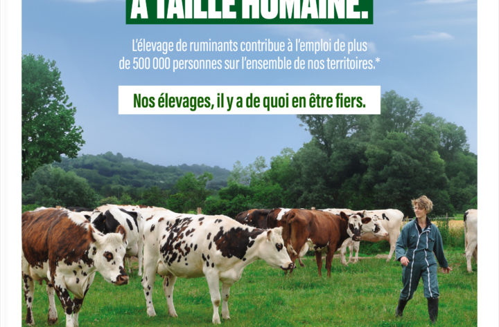 La Confédération Nationale de l’Élevage  (CNE) lance une nouvelle campagne de  communication avec Ogilvy Paris.
