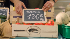 Le prix d&rsquo;un monde sans abeilles
