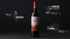 Bordeaux 2050