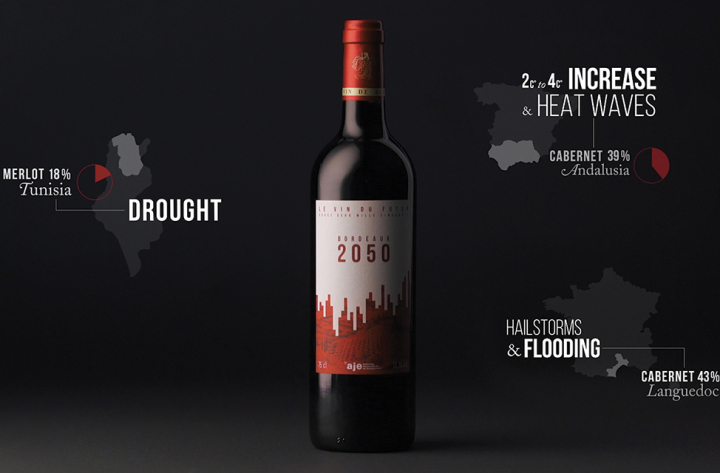 Bordeaux 2050