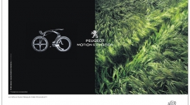 Motion & Emotion – Presse