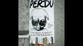 Adoptez – Print