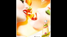 Sensations – Presse