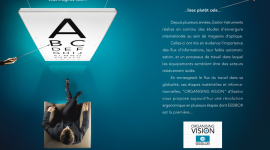 Organising Vision