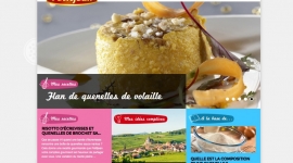 Lancement du nouveau site Petitjean
