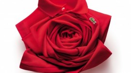 campagne d&rsquo;affichage – Happy Valentine