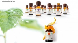 Charte graphique packaging huiles essentielles Nature et découvertes