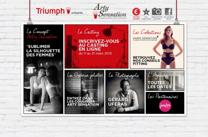 Arty Sensation 2013