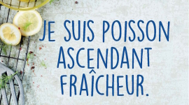 PLV : Campagne de Valeurs