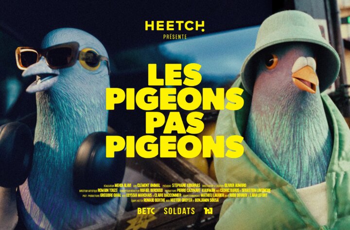 Les pigeons pas pigeons