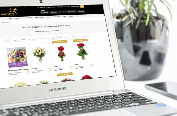 Référencement SEO