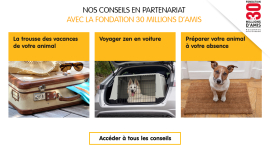 MARS PETCARE  #ADOPTE1CHIEN BY HEAVEN