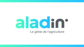 aladin, l&rsquo;identité graphique et éditoriale de la market place
