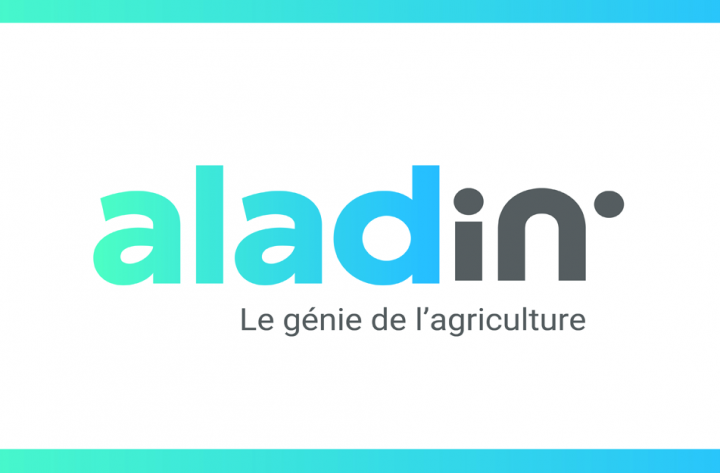 aladin, l&rsquo;identité graphique et éditoriale de la market place
