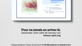 Un rein à vendre sur ebay