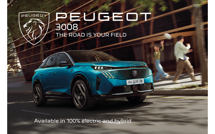 Peugeot E-3008 Dupont