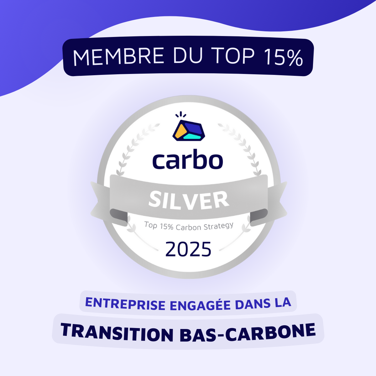 Silver Carbo 