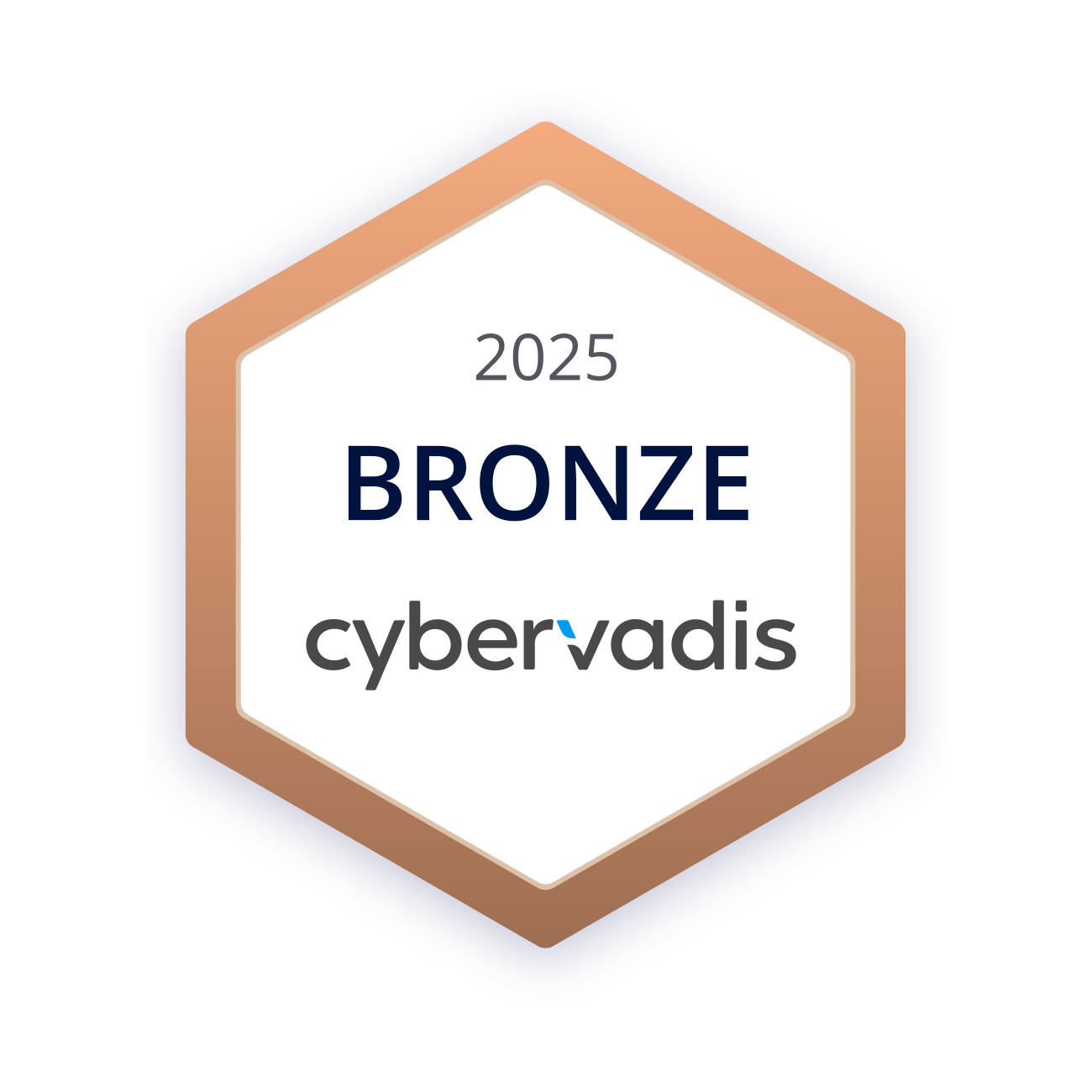 CyberVadis (avancé)