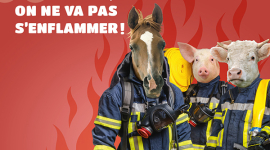 UNE SAGA SOIGNÉE POUR BIMEDA OCTAVET